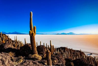 Salar De Uyuni (1Day) - Guía de habla hispana