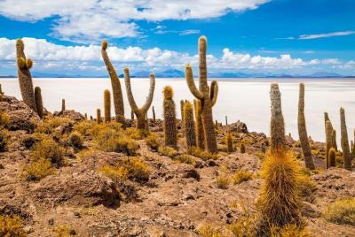 Cementerio de trenes | Salt Flat Tour día completo | Isla de Inca