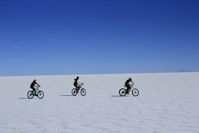 Alquiler de bicicletas