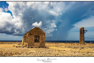 Recorrido fotográfico por el Parque Nacional Washington Slagbaai