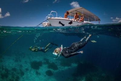 Viaje de snorkel doble inmersión Viaje de snorkel doble inmersión