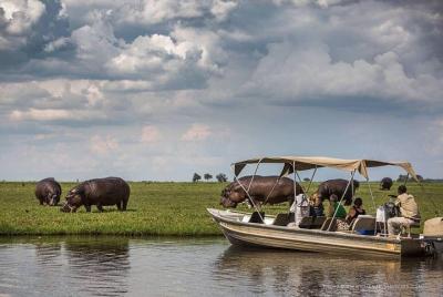 Chobe River Game Cruise