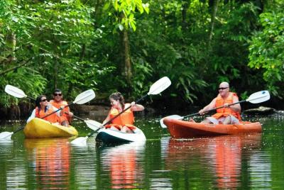 Kayak Tour en el Parque Nacional Tortuguero (Boleto incluido) Kayak Tour en el Parque Nacional Tortuguero (Boleto incluido)