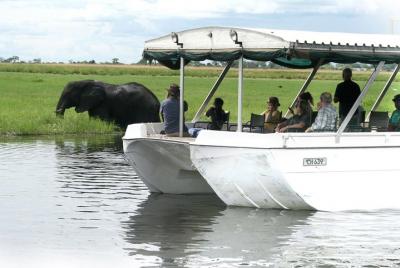 Crucero al atardecer en el río Chobe con recogida en el hotel de 