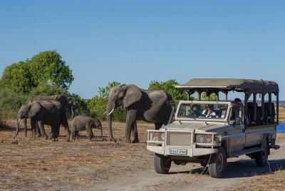 Chobe Game Drive