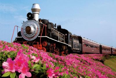 Vinhos e Historia com Maria Fumaça