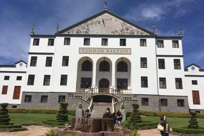 Recorrido por el valle del río das Antas en Bento Gonçalves RS