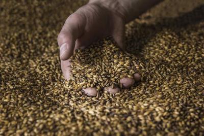 Cervecerías artesanales de Bento Gonçalves y Garibaldi RS