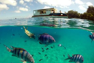 Nade en la Bahía Sancho saliendo de Fernando de Noronha