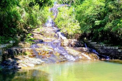 Explore la cultura local de la costa de la laguna