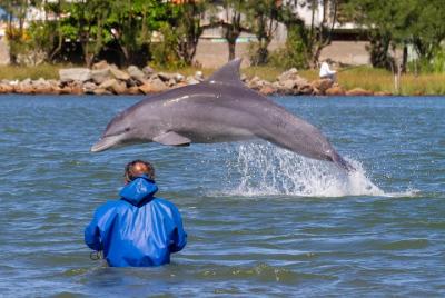 SANTUARIO DE BOTOS PESCADORES - Observe de cerca el Santuario y l