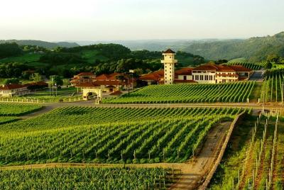 Tour de cata de vinos en Casa Valduga con viaje en tren Maria Fum