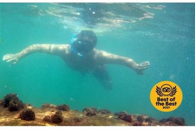 Excursión de buceo a la isla Macuco en Zimbros Ecotour