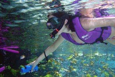 ¡2 DÍAS INCREÍBLES! Reserva desde 2 personas - Chapada Diamantina ¡2 DÍAS INCREÍBLES! Reserva desde 2 personas - Chapada Diamantina