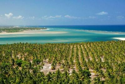 Tour a las Playas del Francés, Barra de San Miguel y Gunga - De M