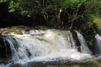 Tour a Presidente Figueiredo: Cascadas del Amazonas Tour a Presidente Figueiredo: Cascadas del Amazonas