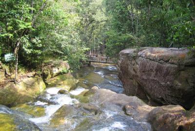 Excursión de un día a las cataratas Presidente Figueiredo desde M