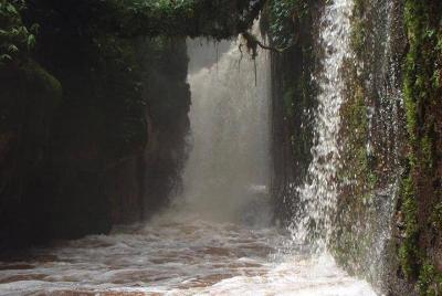Cascadas amazónicas - Presidente Figueiredo Cascadas amazónicas - Presidente Figueiredo
