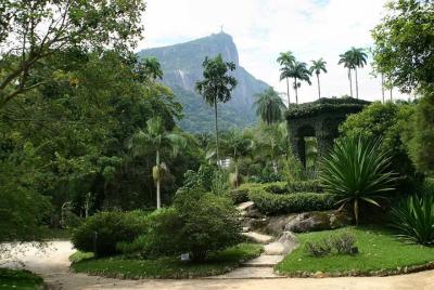 Excursión de medio al jardín botánico de Río de Janeiro