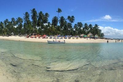 Carneiros Beach Private Tour - Group 1 to 6 PAX - Leaving Maragog