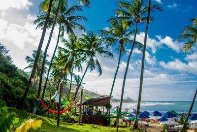 Excursión de 1 día a Praia de Pipa / RN - Saliendo de Natal / RN