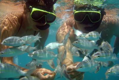 Tour a Maracajaú con paseo en catamarán Tour a Maracajaú con paseo en catamarán