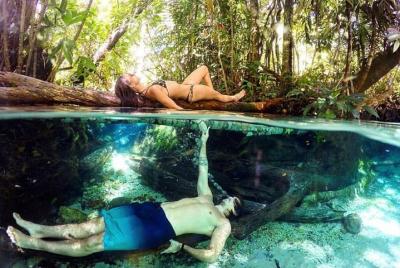 Lugares turísticos en Palmas Cosas que hacer en Palmas 174184