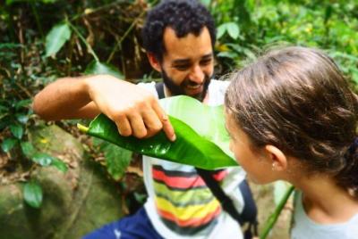 Forager bosque - paseo de comida salvaje