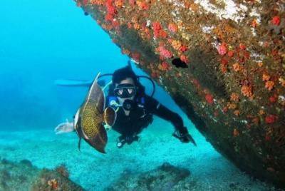 Bucear en Paraty - Bautismo