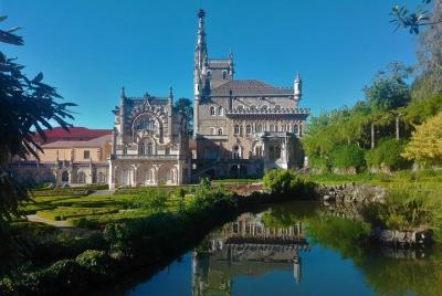 Ruta Bosque Bussaco y Bodegas Bairrada