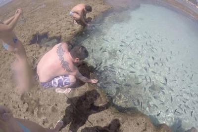 Tour a Porto de Galinhas desde Recife / Olinda / Jaboatão dos Gua
