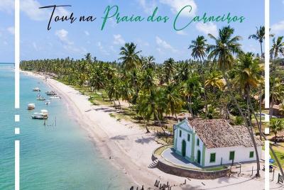 Excursión de un día a Praia dos Carneiros desde Boa Viagem, Pina  Excursión de un día a Praia dos Carneiros desde Boa Viagem, Pina