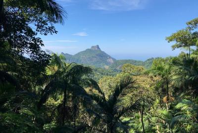 ¡Experimenta una hermosa caminata por el bosque de Tijuca y Pedra ¡Experimenta una hermosa caminata por el bosque de Tijuca y Pedra