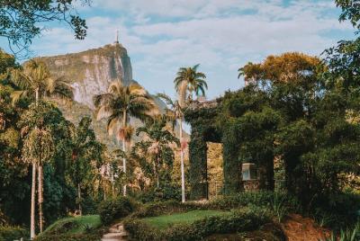 Bosque de Tijuca y Jardín Botánico