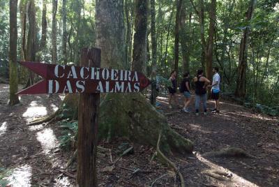 2 Días en Río: Tijuca Forest y Dos Hermanos Senderismo