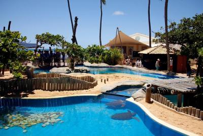 Praia do Forte con playa de Guarajuba - Excursión de un día desde