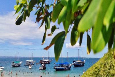 Visita a la isla tropical que incluye la isla Itaparica