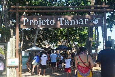 Transferencia compartida de Praia do Forte desde Salvador