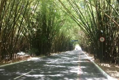 Traslados: Aeropuerto, Hoteles, Terminales Marítimos, Rodoviária.