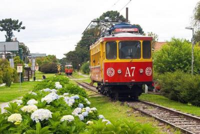 Excursión a Campos do Jordão con degustación de quesos y vinos. Excursión a Campos do Jordão con degustación de quesos y vinos.
