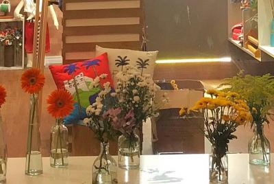 ¡Encante con la artesanía y la cultura capixaba!