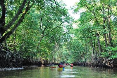 Caminata nocturna por la naturaleza del humedal de Limpaki