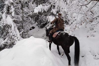Paseo privado a caballo por el cañón de las cascadas de 1 hora en