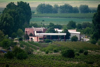 Degustación privada de vinos en la bodega Afuzov Degustación privada de vinos en la bodega Afuzov