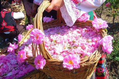Traslado de un día en grupo al Valle de las Rosas