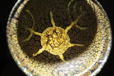 Excursión privada de un día a Plovdiv desde Sofía