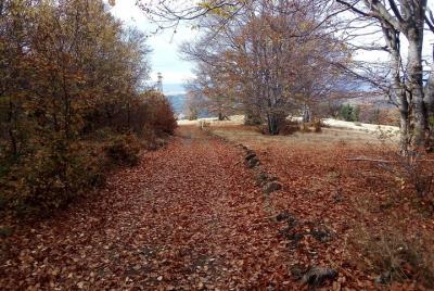 ¡Paseo en MTB por Sofía!