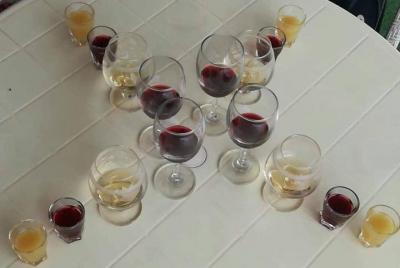 Prueba de Battambong