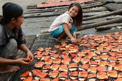 FullDay tuk tuk Tour: BambooTrain, cueva de murciélagos, prueba d