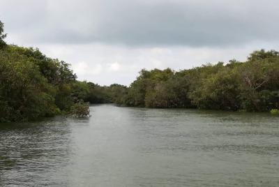 Aldea flotante Kompong Pluk y Explorador de templos antiguos